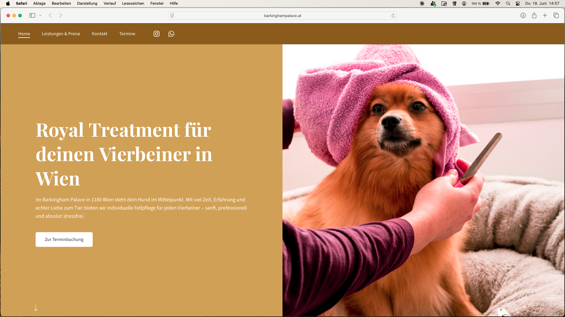 barkinghampalace.at Screenshot